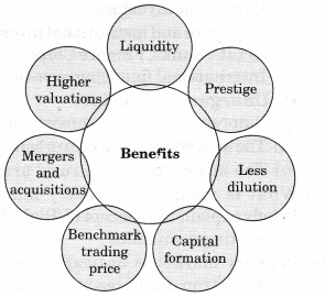 NCERT Solutions for Class 12 Entrepreneurship Resource Mobilization Section-B VLAQ Q2