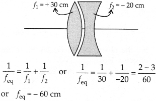 NCERT Solutions for Class 12 Physics Chapter 9 Ray Optics and Optical Instruments Q10