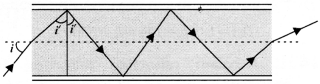 NCERT Solutions for Class 12 Physics Chapter 9 Ray Optics and Optical Instruments Q17
