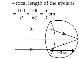 NCERT Solutions for Class 12 Physics Chapter 9 Ray Optics and Optical Instruments Q24