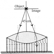 NCERT Solutions for Class 12 Physics Chapter 9 Ray Optics and Optical Instruments Q39.3