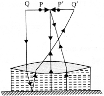 NCERT Solutions for Class 12 Physics Chapter 9 Ray Optics and Optical Instruments Q39