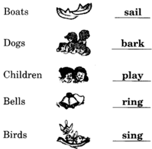 NCERT-Solutions-for-Class-2-English-Chapter-3-Padding-Pool-Lets-Write-Q1