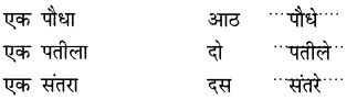 NCERT Solutions for Class 2 Hindi Chapter 5 दोस्त की मदद Q10.1