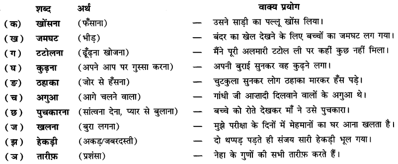NCERT-Solutions-for-Class-6-Hindi-Chapter-9-टिकट-अलबम-Q1