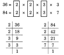 NCERT Solutions for Class 6 Maths Chapter 3 exercise 3.6 all questions answers