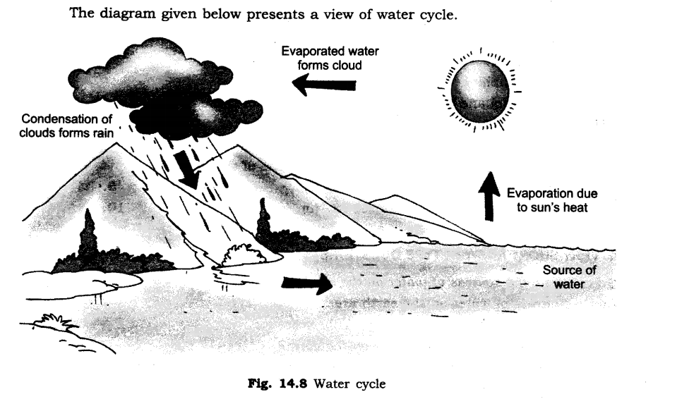 NCERT-Solutions-for-Class-6-Science-Chapter-14-Water-SAQ-Q3