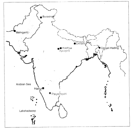 NCERT Solutions for Class 6 Social Science History Chapter 3 From Gathering to Growing Food Map Skills Q1