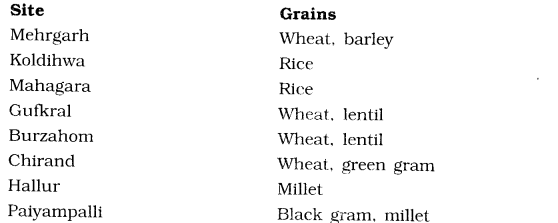 NCERT Solutions for Class 6 Social Science History Chapter 3 From Gathering to Growing Food SAQ Q3