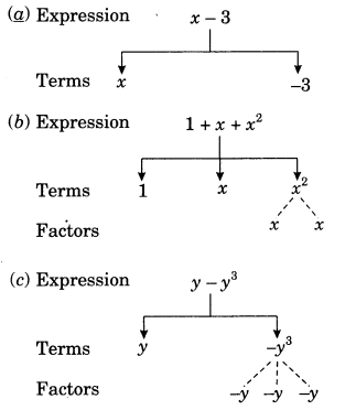 NCERT-Solutions-for-Class-7-Maths-Chapter-12-Algebraic-Expressions-1