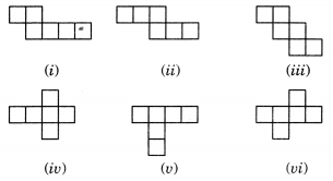 NCERT Solutions for Class 7 Maths Chapter 15 Visualising Solid Shapes 1