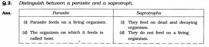 NCERT-Solutions-for-Class-7-Science-Chapter-1-Nutrition-in-Plants-Q2