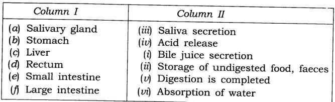 NCERT Solutions for Class 7 Science Chapter 2 Nutrition in Animals Q11.1