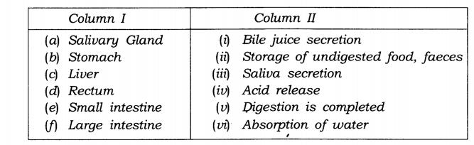 NCERT Solutions for Class 7 Science Chapter 2 Nutrition in Animals Q11