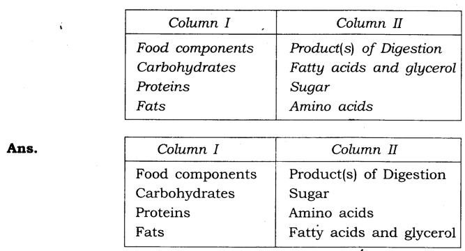 NCERT-Solutions-for-Class-7-Science-Chapter-2-Nutrition-in-Animals-Q4