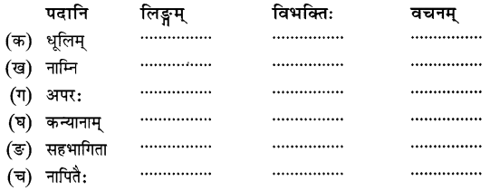 NCERT-Solutions-for-Class-8-Sanskrit-Chapter-11-सावित्री-बाई-फुले-Q7