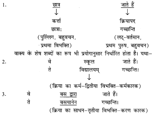 NCERT-Solutions-for-Class-8-Sanskrit-Chapter-8-अनुवादः-1