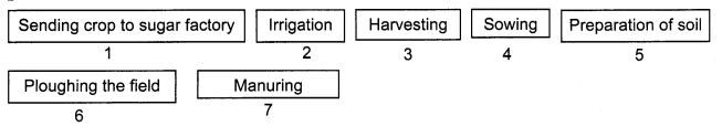 NCERT-Solutions-for-Class-8-Science-Chapter-1-Crop-Production-and-Management-Q10