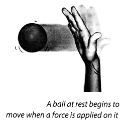 NCERT Solutions for Class 8 Science Chapter 11 Force and Pressure Activity 3