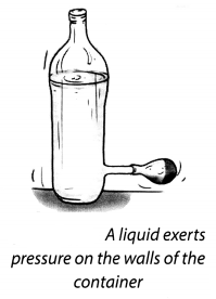 NCERT Solutions for Class 8 Science Chapter 11 Force and Pressure Activity 9