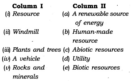 NCERT Solutions for Class 8 Social Science Geography Chapter 1 Resources Exercise Questions Q4