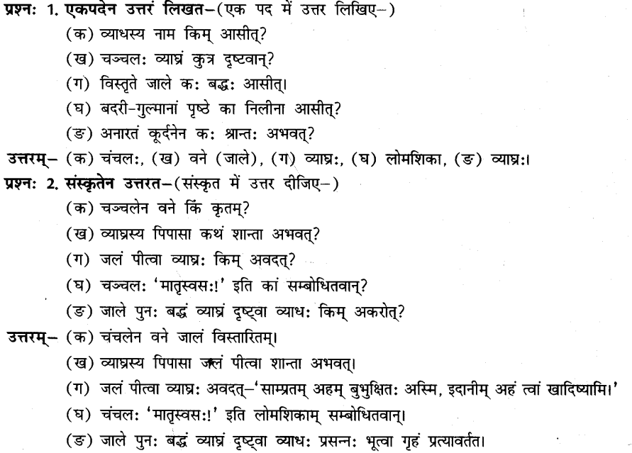 NCERT-Solutions-for-Class-8th-Sanskrit-Chapter-5-धर्मे-धमनं-पापे-पुण्यम-1