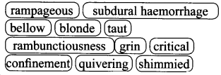 NCERT Solutions for Class 9 English Literature Chapter 2 A Dog Named Duke Q2