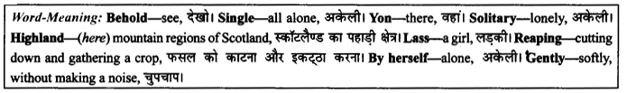 NCERT Solutions for Class 9 English Literature Chapter 8 The Solitary Reaper Paraphrase Q1