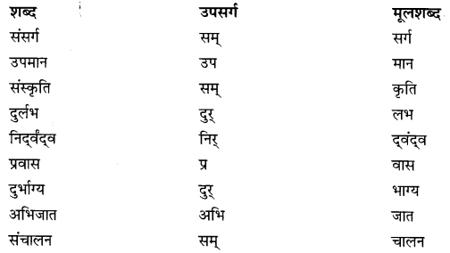 NCERT Solutions for Class 9 Hindi Sparsh Chapter 1 धूल Q1