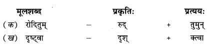 NCERT-Solutions-for-Class-9-Sanskrit-Shemushi-Chapter-2-स्वर्णकाकः-2