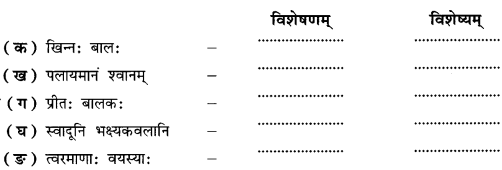 NCERT-Solutions-for-Class-9-Sanskrit-Shemushi-Chapter-6-भ्रान्तो-बालः-1