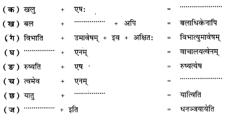 NCERT-Solutions-for-Class-9-Sanskrit-Shemushi-Chapter-7-प्रत्यभिज्ञानम्-1