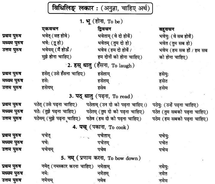 NCERT-Solutions-for-Class-9th-Sanskrit-Chapter-10-Vidhiliga-Lakarah-1