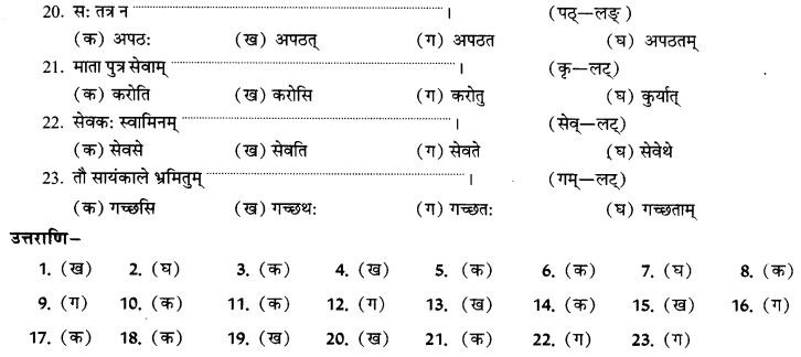 NCERT Solutions for Class 9th Sanskrit Chapter 10 Vidhiliga Lakarah 14