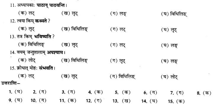 NCERT Solutions for Class 9th Sanskrit Chapter 10 Vidhiliga Lakarah 16
