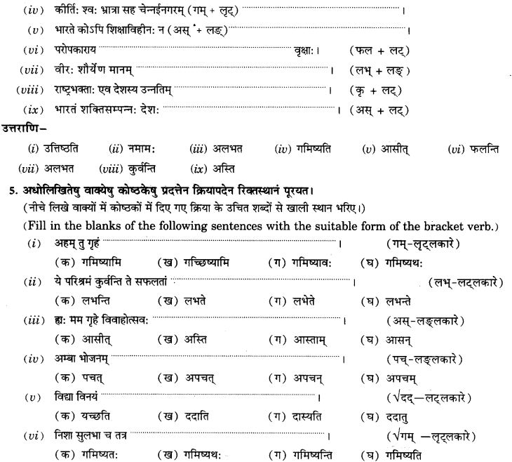NCERT Solutions for Class 9th Sanskrit Chapter 10 Vidhiliga Lakarah 19