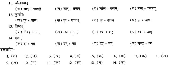 NCERT Solutions for Class 9th Sanskrit Chapter 19 Shatr Shanach Pratyayoh Prayogah 14