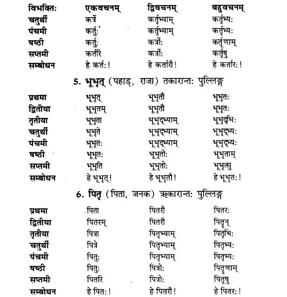 NCERT Solutions for Class 9th Sanskrit Chapter 5 Anathsabdhah, Halanthsabdah, Sarvnamsabdah, Sankhyavachansabdah 2