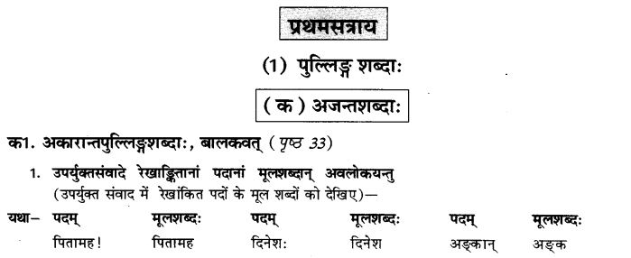 NCERT Solutions for Class 9th Sanskrit Chapter 5 Anathsabdhah, Halanthsabdah, Sarvnamsabdah, Sankhyavachansabdah 23