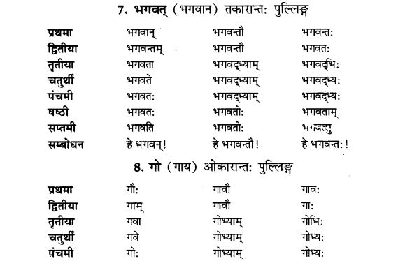 NCERT Solutions for Class 9th Sanskrit Chapter 5 Anathsabdhah, Halanthsabdah, Sarvnamsabdah, Sankhyavachansabdah 3