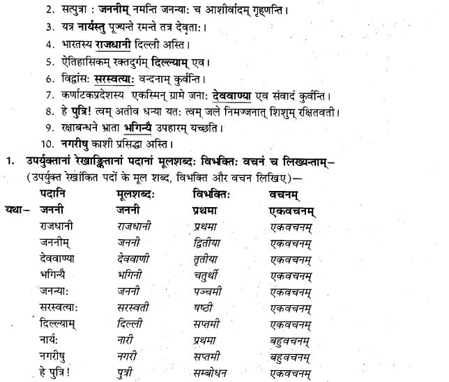 NCERT Solutions for Class 9th Sanskrit Chapter 5 Anathsabdhah, Halanthsabdah, Sarvnamsabdah, Sankhyavachansabdah 36