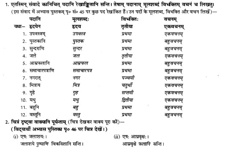 NCERT Solutions for Class 9th Sanskrit Chapter 5 Anathsabdhah, Halanthsabdah, Sarvnamsabdah, Sankhyavachansabdah 39
