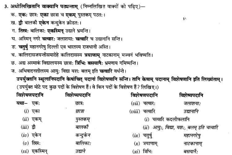NCERT Solutions for Class 9th Sanskrit Chapter 5 Anathsabdhah, Halanthsabdah, Sarvnamsabdah, Sankhyavachansabdah 58