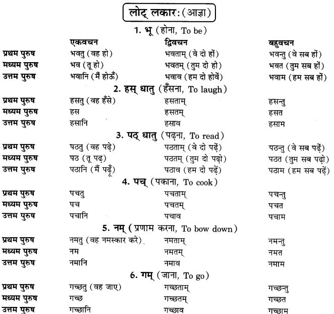 NCERT-Solutions-for-Class-9th-Sanskrit-Chapter-9-Lot-Lakarah-1
