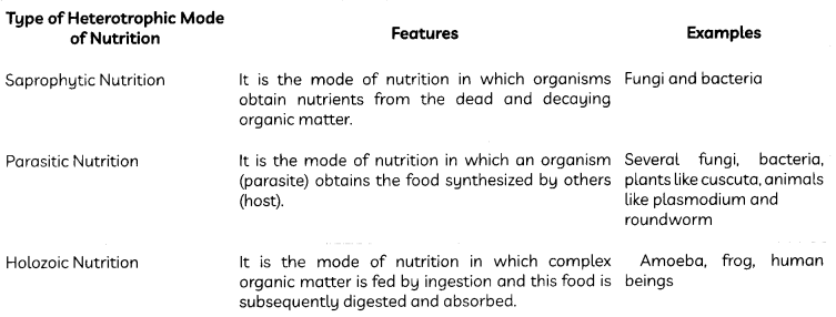 Nutrition 3