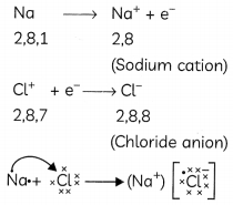 Reaction Between Metals and Non-Metals 2