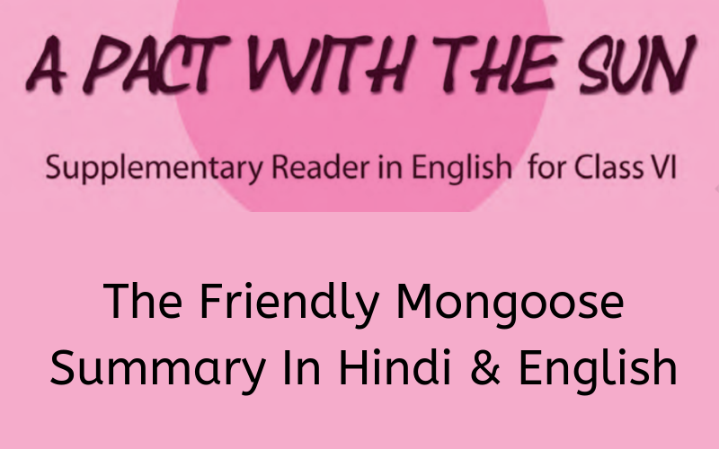 The-Friendly-Mongoose-Summary-Class-6-English