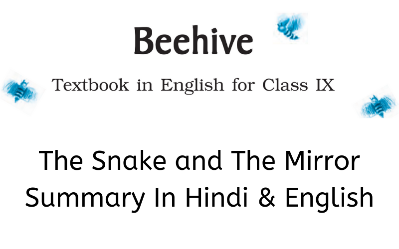 The-Snake-and-The-Mirror-Summary-Class-9-English