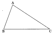 The-Triangles-and-its-Properties-Class-7-Extra-Questions-Maths-Chapter-6-Q1