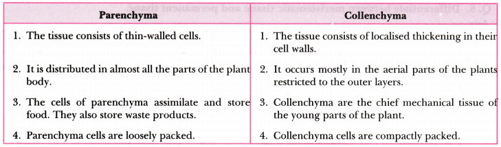 Tissues Class 9 Extra Questions Science Chapter 6 2